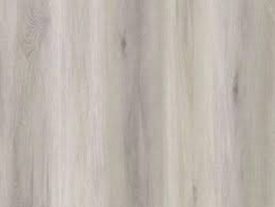 484A_1