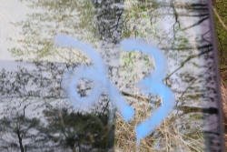 23_33