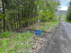 ABSOLUTE AUCTION! - 116 Oregon Rd, Gilbertsville, Town of Butternuts