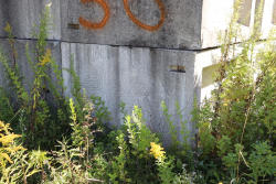 36_103